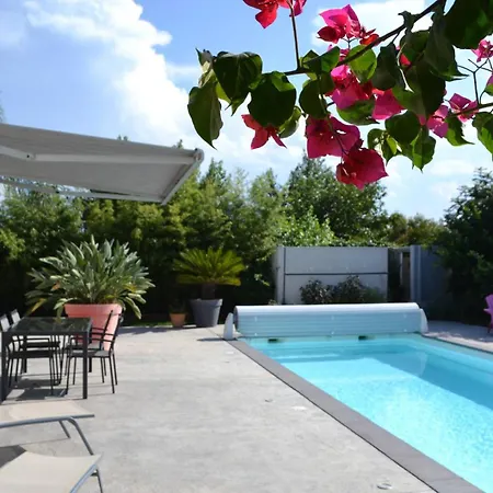 De Standing Piscine Privee A 15 Min Des Plages 8vb11 Perpignan